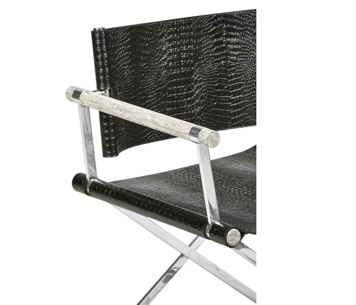 Director Chair