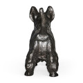 Scottish Terrier