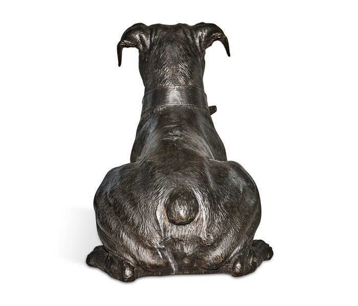 Bella boxer lying - large