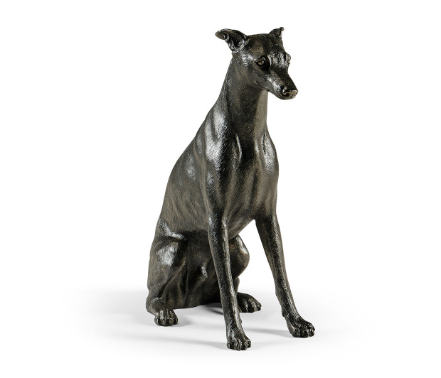 Whippet sitting no collars