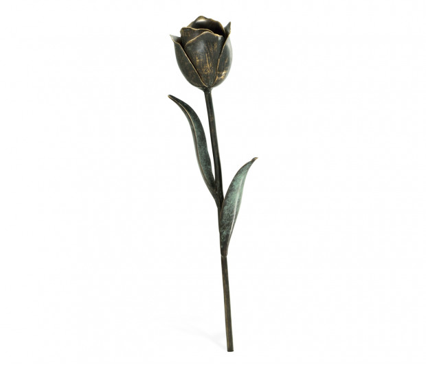 Dark Bronze Tulip Flower