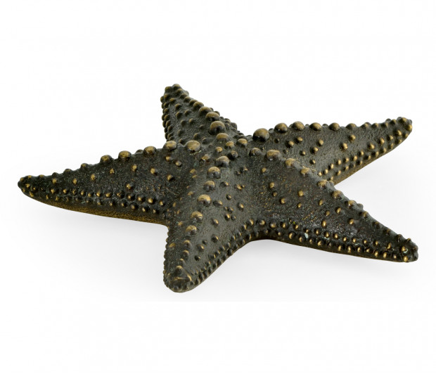 Dark Bronze Starfish