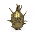 Antique Brass Dragon Fruit