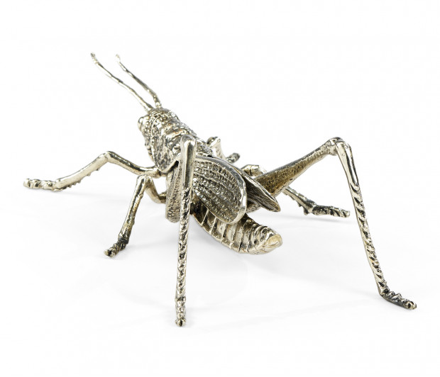 White Brass Grasshopper
