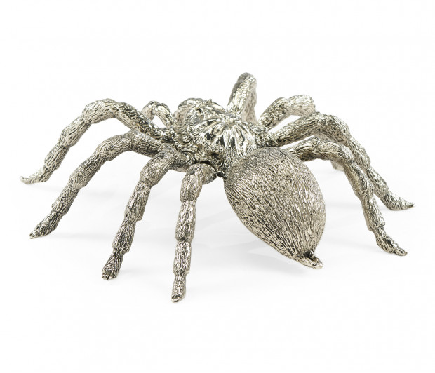White Brass Turantula