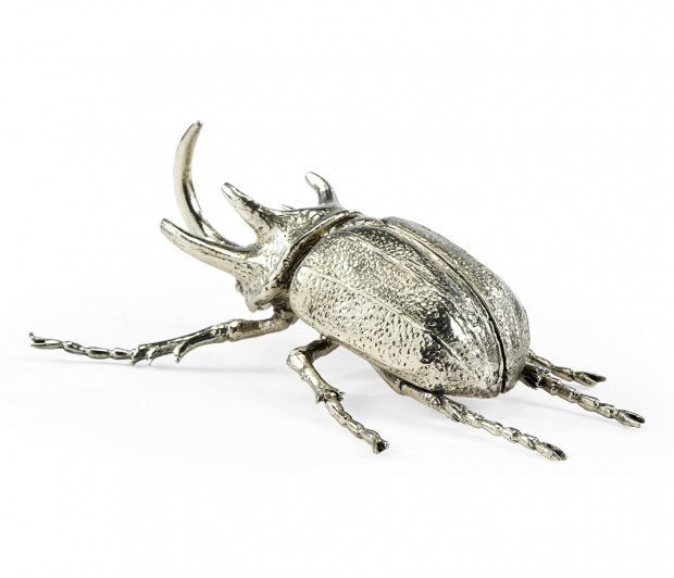 White Brass Five-Horned Rhinoceros Beetle