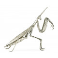 White Brass Praying Mantis