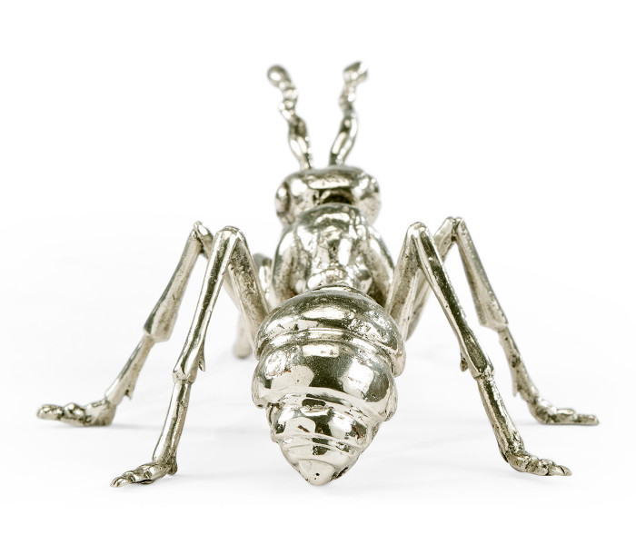 White Brass Ant
