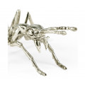 White Brass Ant