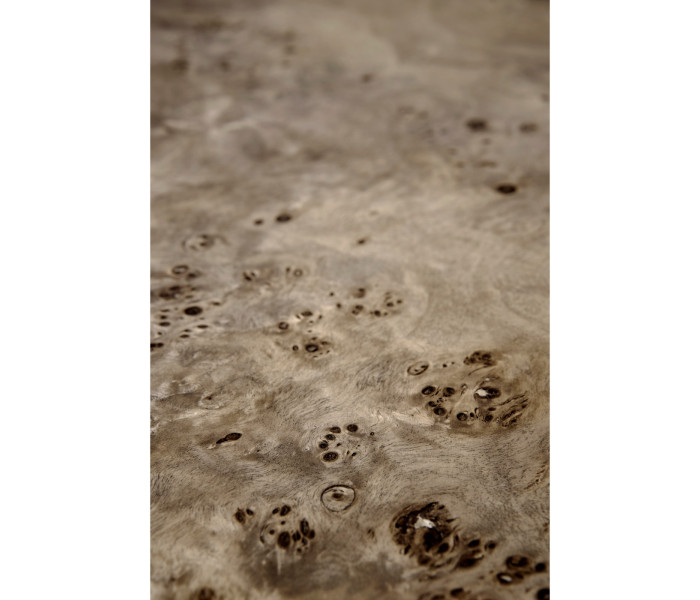 Hamilton Burl Side Table